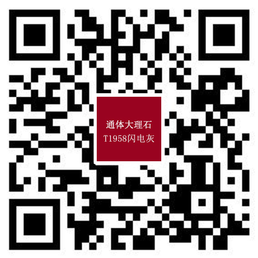 T1958閃電灰.jpg