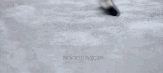 WeChat 圖片_20191218144816.gif